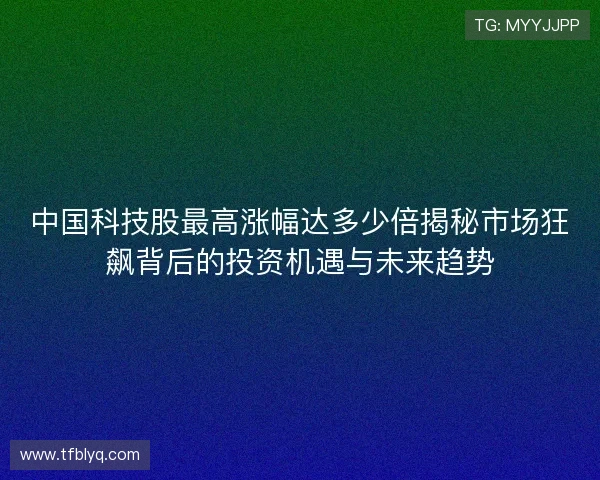 中国科技股最高涨幅达多少倍揭秘市场狂飙背后的投资机遇与未来趋势